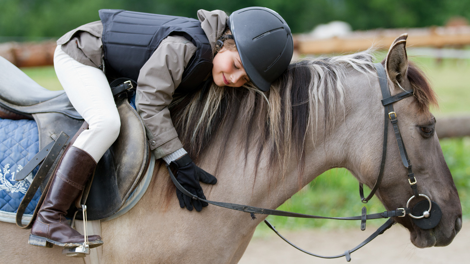 Riding stable in Reischach